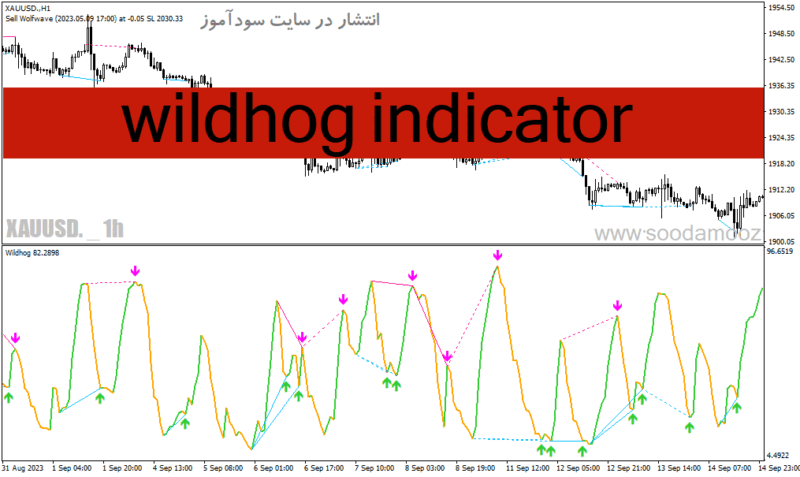خرید و دانلود دانلود اندیکاتور رسم اتوماتیک واگرایی برای متاتریدر4 با نام wildhog indicator - تصویر 2
