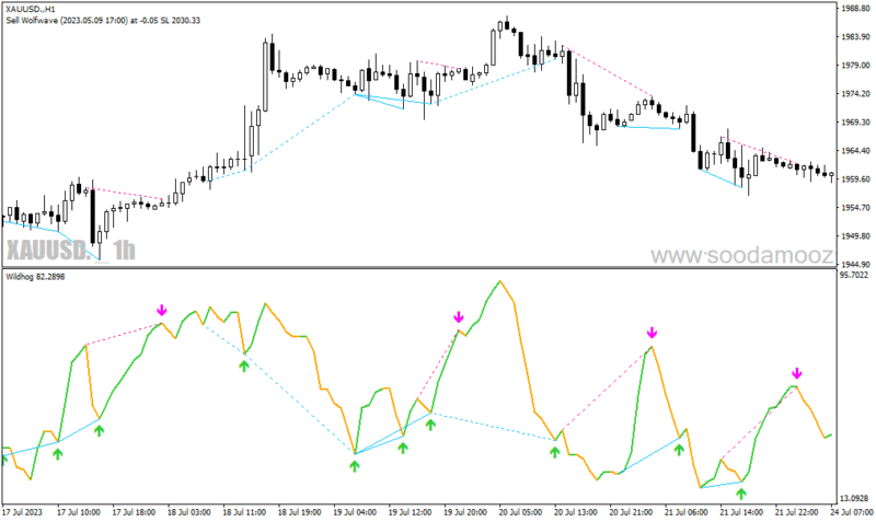 خرید و دانلود دانلود اندیکاتور رسم اتوماتیک واگرایی برای متاتریدر4 با نام wildhog indicator - تصویر 4