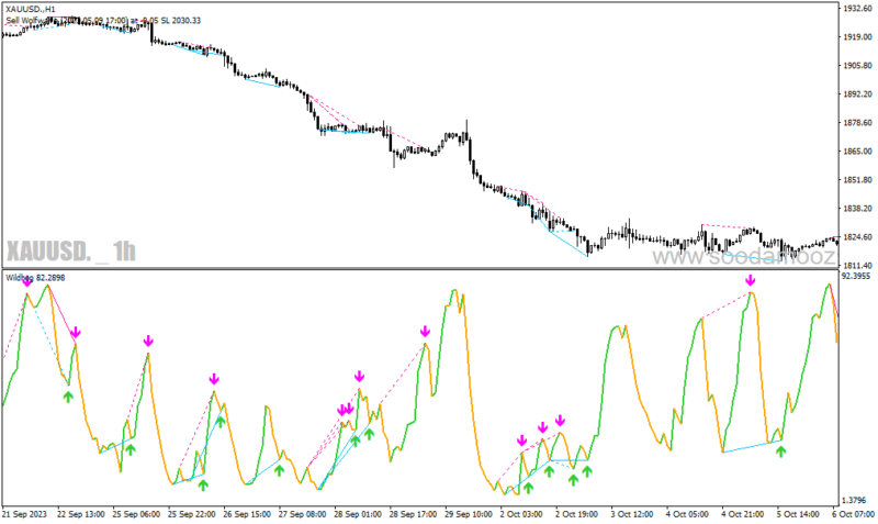 خرید و دانلود دانلود اندیکاتور رسم اتوماتیک واگرایی برای متاتریدر4 با نام wildhog indicator - تصویر 5