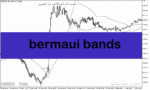 خرید و دانلود دانلود اندیکاتور رنج فیلتر برای متاتریدر5 با نام bermaui bands