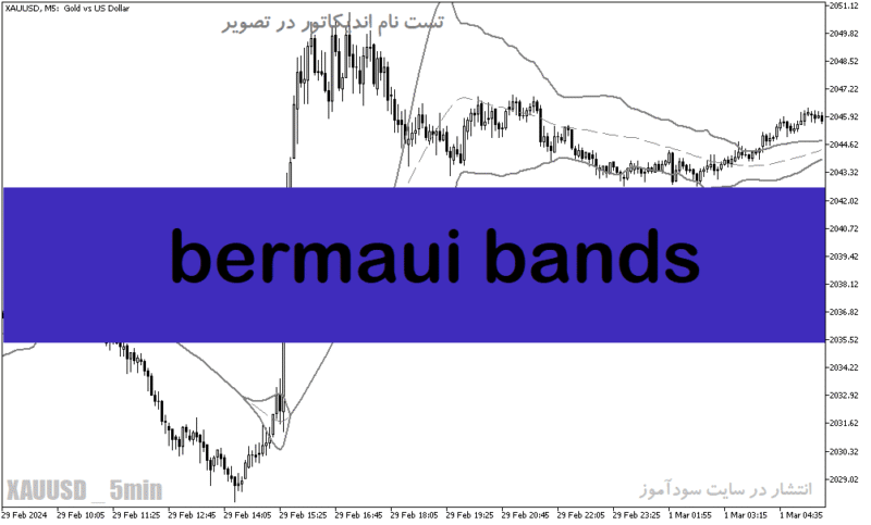 خرید و دانلود دانلود اندیکاتور رنج فیلتر برای متاتریدر5 با نام bermaui bands - تصویر 2