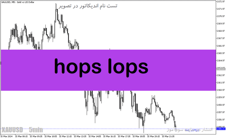 خرید و دانلود دانلود اندیکاتور سطوح حمایت و مقاومت برای متاتریدر5 با نام hops lops - تصویر 2