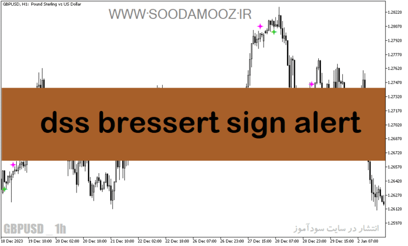 خرید و دانلود دانلود اندیکاتور سیگنال دهی برای متاتریدر5 با نام dss bressert sign alert - تصویر 2