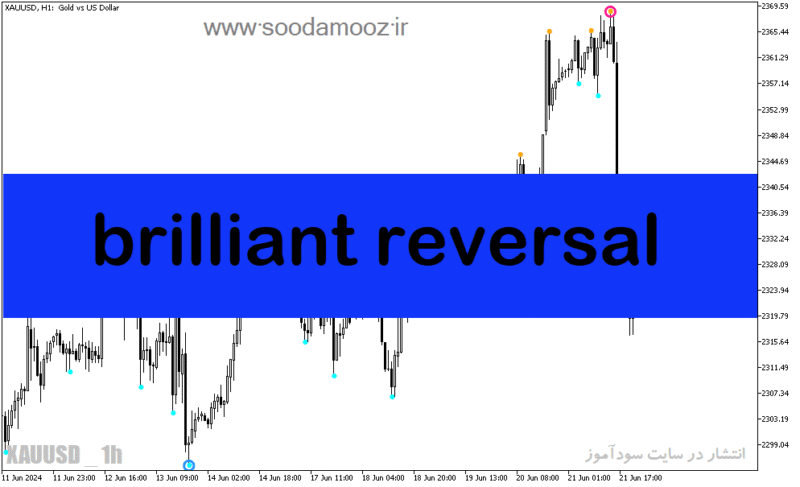 خرید و دانلود دانلود اندیکاتور شناسایی سقف و کف برای متاتریدر5 با نام brilliant reversal - تصویر 2