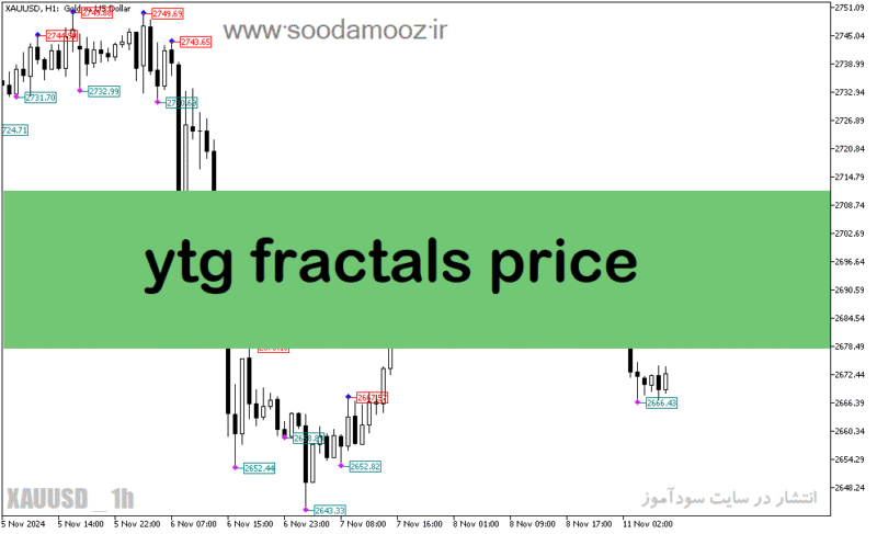 خرید و دانلود دانلود اندیکاتور فراکتال برای متاتریدر5 با نام ytg fractals price - تصویر 2