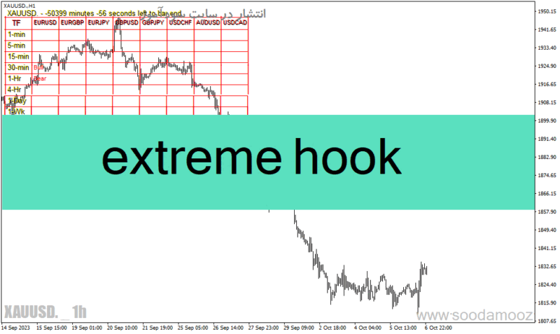 خرید و دانلود دانلود اندیکاتور قدرت لحظه ای جفت ارزها برای متاتریدر4 با نام extreme hook - تصویر 2