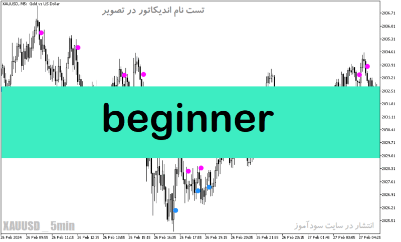 خرید و دانلود دانلود اندیکاتور نقطه ورود و خروج برای متاتریدر5 با نام Beginner - تصویر 2