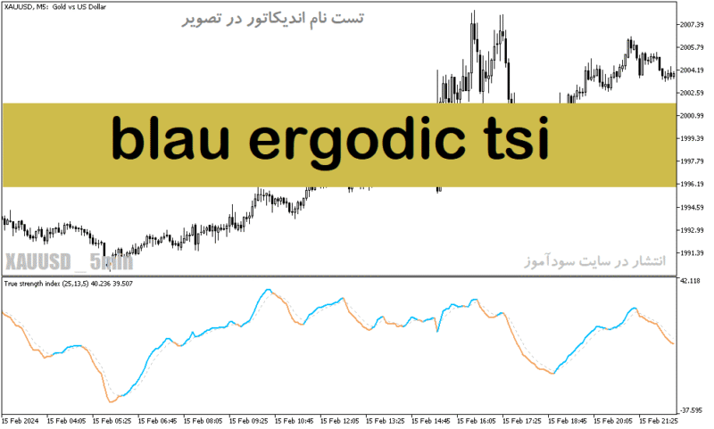 خرید و دانلود دانلود بهترین اندیکاتور نوسان گیری بورس برای متاتریدر5 با نام blau ergodic tsi - تصویر 2