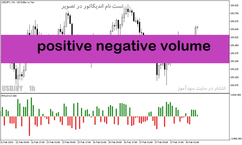 خرید و دانلود دانلود بهترین اندیکاتور برای حجم مخصوص متاتریدر5 با نام positive negative volume - تصویر 2