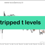 خرید و دانلود دانلود بهترین اندیکاتور نقطه ورود برای متاتریدر5 با نام stripped t levels