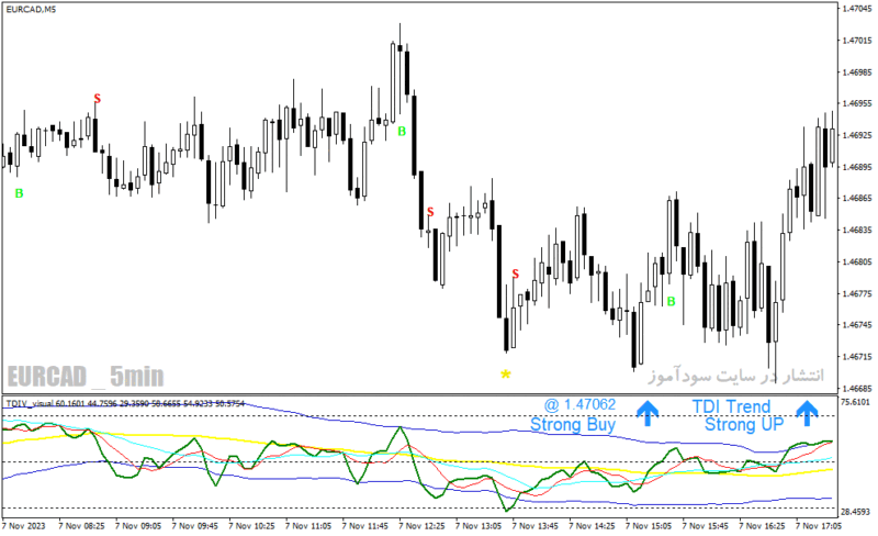 خرید و دانلود دانلود بهترین اندیکاتور برای نوسان گیری فارکس برای متاتریدر4 با نام Traders Dynamic Index Visual Alert - تصویر 3