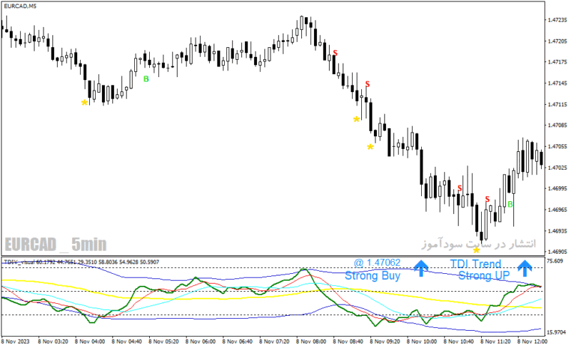 خرید و دانلود دانلود بهترین اندیکاتور برای نوسان گیری فارکس برای متاتریدر4 با نام Traders Dynamic Index Visual Alert - تصویر 4