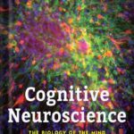 خرید و دانلود نسخه کامل کتاب Cognitive Neuroscience: The Biology of the Mind (Fifth Edition) 5th Edition by Michael Gazzaniga PDF
