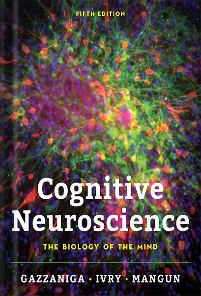 225-New-PNG-Version-119-2.jpg خرید و دانلود نسخه کامل کتاب Cognitive Neuroscience: The Biology of the Mind (Fifth Edition) 5th Edition by Michael Gazzaniga PDF - تصویر 1
