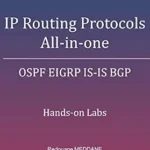خرید و دانلود نسخه کامل کتاب IP Routing Protocols All-in-one: OSPF EIGRP IS-IS BGP Hands-on Labs