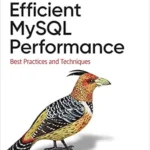 خرید و دانلود نسخه کامل کتاب Efficient MySQL Performance: Best Practices and Techniques