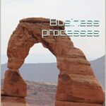 خرید و دانلود نسخه کامل کتاب Business processes: A bridge to SAP and a guide to SAP TS410 certification Kindle Edition