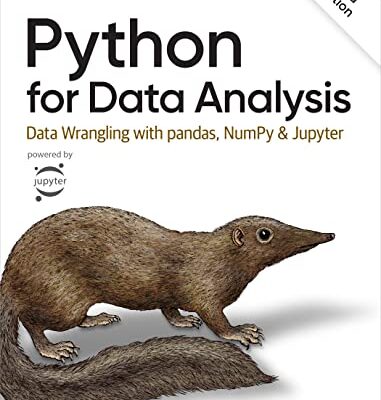 خرید و دانلود نسخه کامل کتاب Python for Data Analysis 3rd Edition