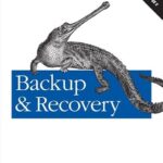 خرید و دانلود نسخه کامل کتاب Backup & Recovery: Inexpensive Backup Solutions for Open Systems
