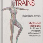 خرید و دانلود نسخه کامل کتاب Anatomy Trains E-Book: Myofascial Meridians for Manual Therapists and Movement Professionals 4th Edition by Thomas W. Myers