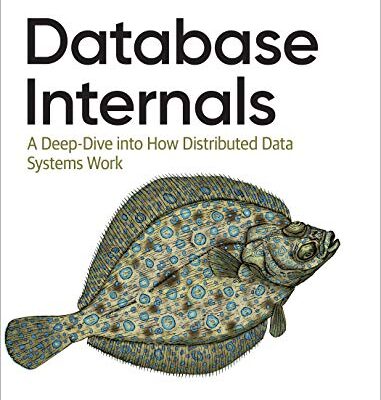 خرید و دانلود نسخه کامل کتاب Database Internals: A Deep Dive into How Distributed Data Systems Work 1st Edition