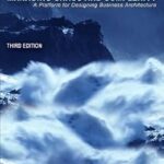 خرید و دانلود نسخه کامل کتاب Systems Thinking: Managing Chaos and Complexity: A Platform for Designing Business Architecture