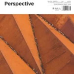 خرید و دانلود نسخه کامل 4 مجله پرسپکتیو . perspective