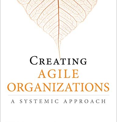 خرید و دانلود نسخه کامل کتاب Coaching Agile Organizations 1st Edition