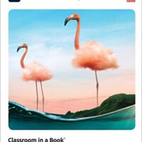 خرید و دانلود نسخه کامل کتاب Adobe Photoshop Classroom in a Book (2021 release) Kindle Edition