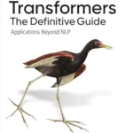 خرید و دانلود نسخه کامل کتاب Transformers: The Definitive Guide: Applications Beyond NLP