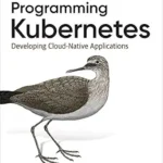 خرید و دانلود نسخه کامل کتاب Programming Kubernetes: Developing Cloud-Native Applications