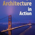 خرید و دانلود نسخه کامل کتاب I/T Architecture in Action