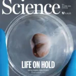 خرید و دانلود نسخه کامل 17 مجله علمی ساینس . Science Magazine Part 2