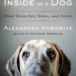 خرید و دانلود نسخه کامل کتاب زبان اصلی Inside of a Dog: What Dogs See, Smell, and Know PDF | دانلود کتاب خارجی