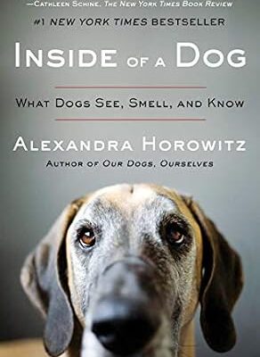خرید و دانلود نسخه کامل کتاب زبان اصلی Inside of a Dog: What Dogs See, Smell, and Know PDF | دانلود کتاب خارجی