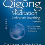 خرید و دانلود نسخه کامل کتاب زبان اصلی Qigong Meditation Embryonic Breathing 2nd. ed.: The Foundation of Internal Elixir Cultivation (Qigong Foundation) | دانلود کتاب خارجی