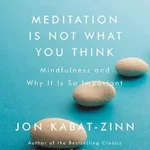 خرید و دانلود نسخه کامل کتاب زبان اصلی Meditation Is Not What You Think: Mindfulness and Why It Is So Important | دانلود کتاب خارجی