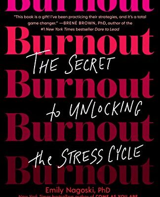 خرید و دانلود نسخه کامل کتاب زبان اصلی Burnout: The Secret to Unlocking the Stress Cycle Kindle Edition | دانلود کتاب خارجی