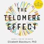 خرید و دانلود نسخه کامل کتاب زبان اصلی The Telomere Effect: A Revolutionary Approach to Living Younger, Healthier, Longer | دانلود کتاب خارجی