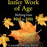 خرید و دانلود نسخه کامل کتاب زبان اصلی The Inner Work of Age: Shifting from Role to Soul Kindle Edition | دانلود کتاب خارجی