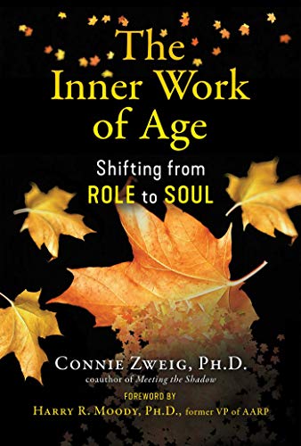 خرید و دانلود نسخه کامل کتاب زبان اصلی The Inner Work of Age: Shifting from Role to Soul Kindle Edition | دانلود کتاب خارجی_6ae177857c7b4.jpeg خرید و دانلود نسخه کامل کتاب زبان اصلی The Inner Work of Age: Shifting from Role to Soul Kindle Edition | دانلود کتاب خارجی